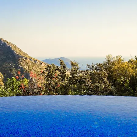 Fiore * Kalkan